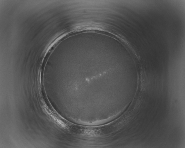 X0000085250790200703161251