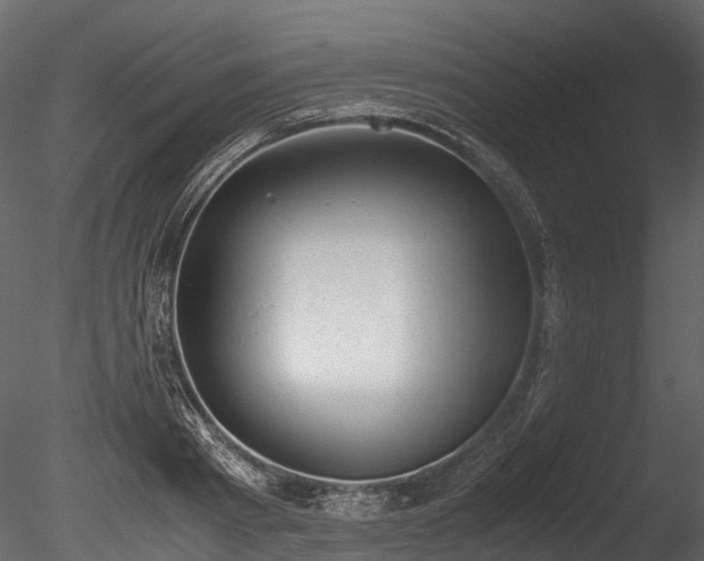 X0000085250793200703161251