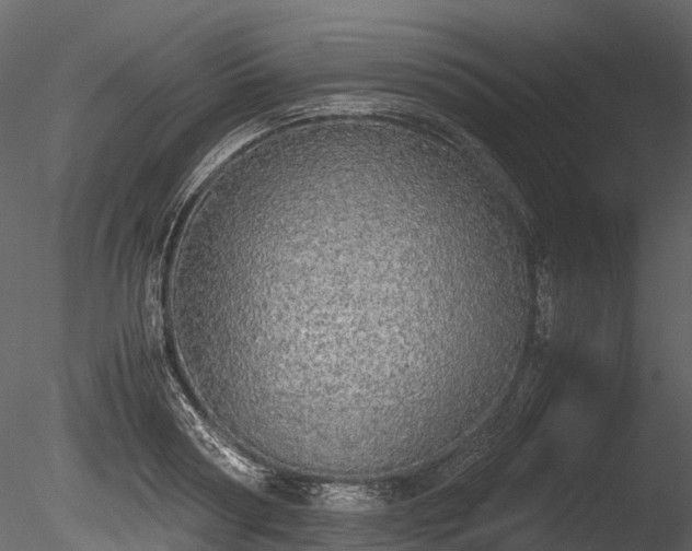 X0000085250794200703161251