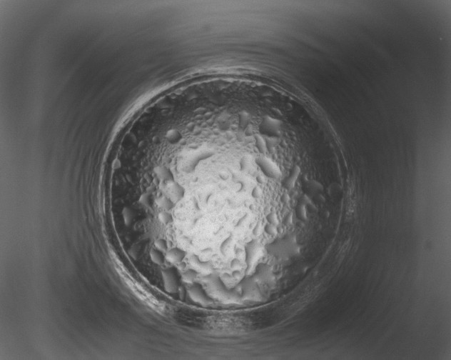 X0000085250795200703161251