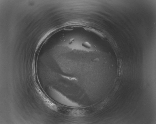 X0000085250796200703161251