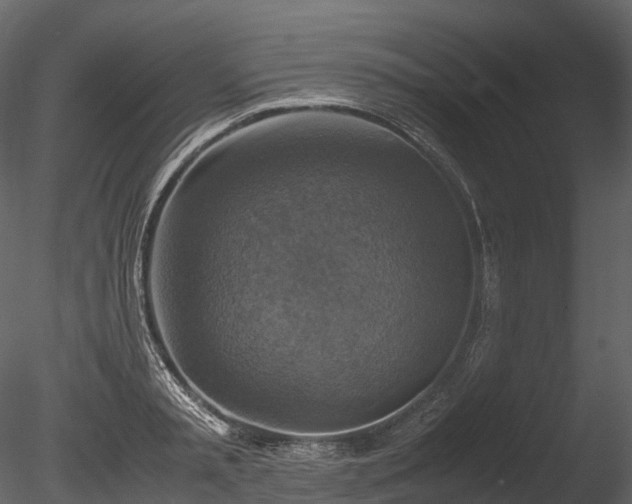 X0000085250797200703161251