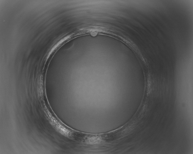 X0000085250798200703161251