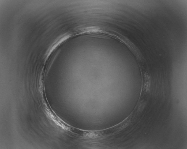 X0000085250806200703161251