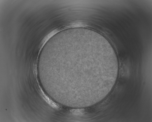 X0000085250810200703161250