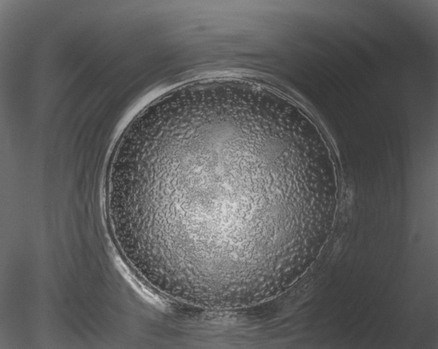 X0000085250811200703161250