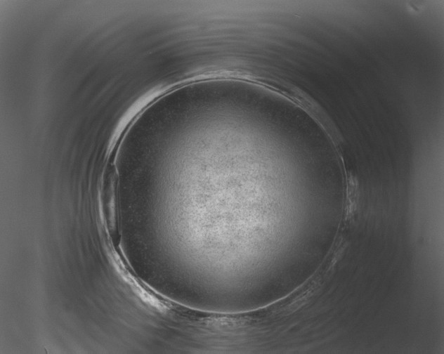 X0000085250812200703161250