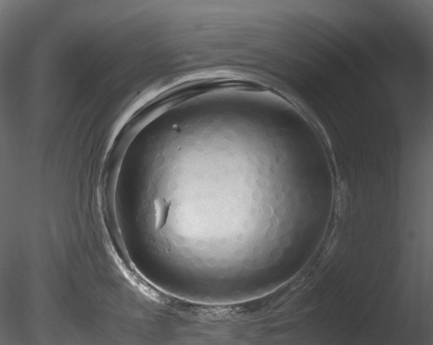 X0000085250813200703161250