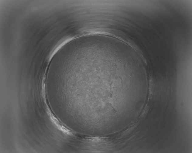 X0000085250814200703161250