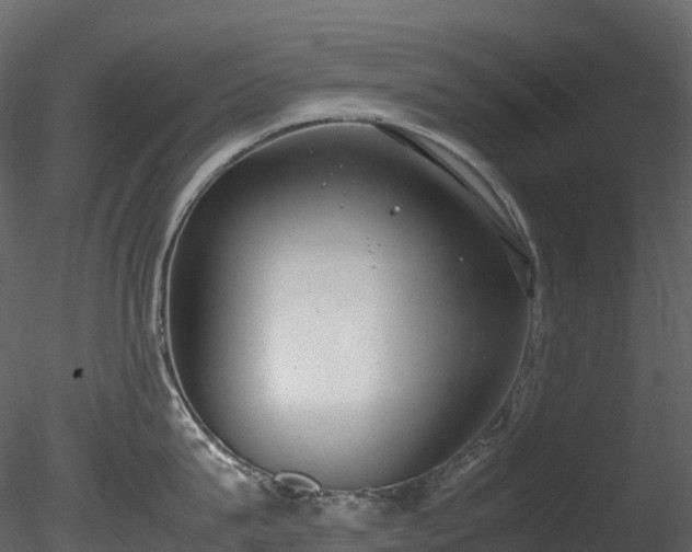 X0000085250815200703161250