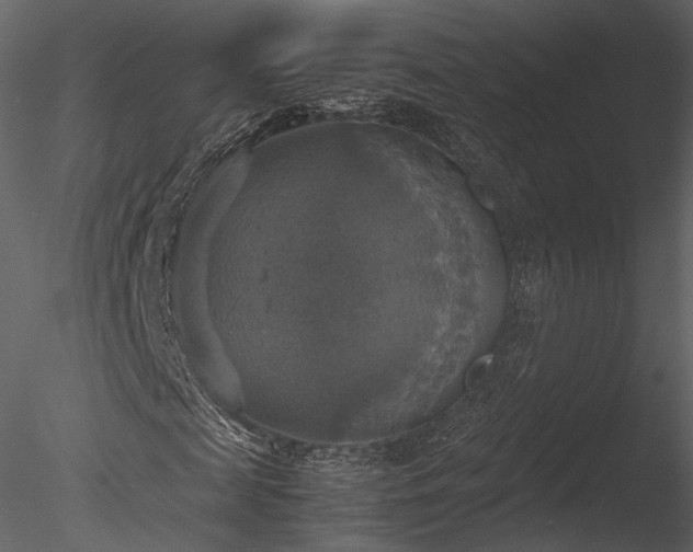 X0000085250817200703161250