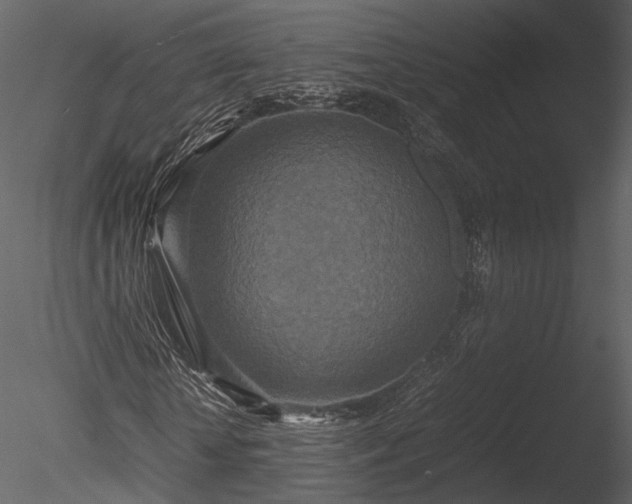 X0000085250818200703161250