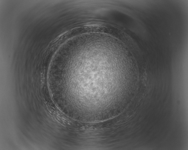 X0000085250821200703161250