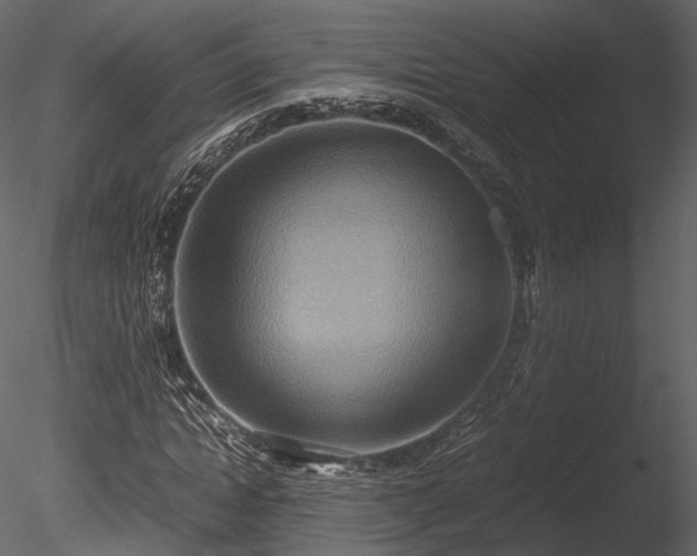 X0000085250822200703161250