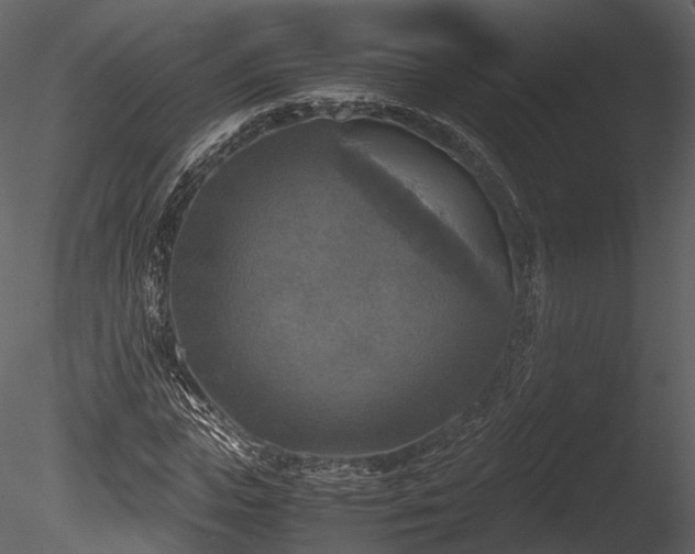 X0000085250823200703161250