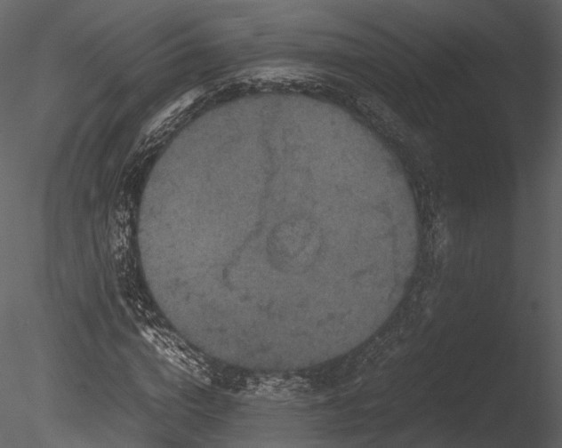 X0000085250824200703161250