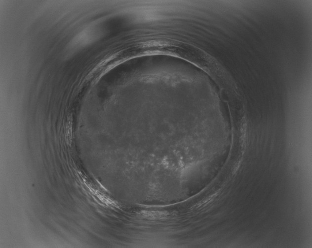 X0000085250825200703161250