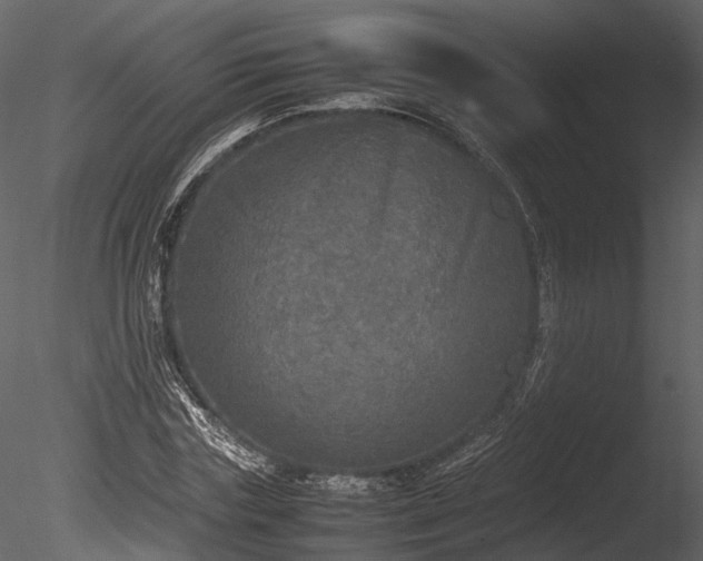 X0000085250827200703161250