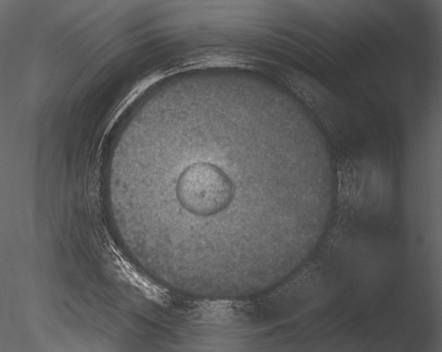 X0000085250828200703161250