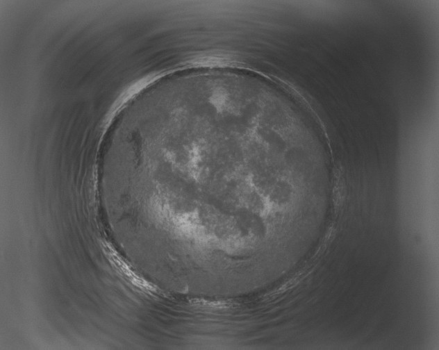 X0000085250831200703161250