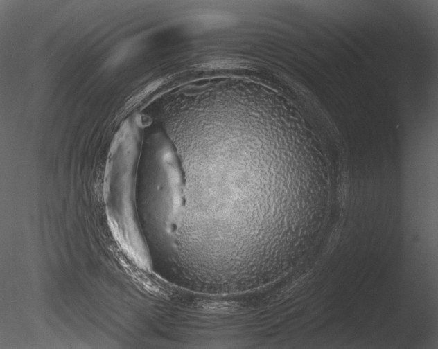 X0000085250833200703161250