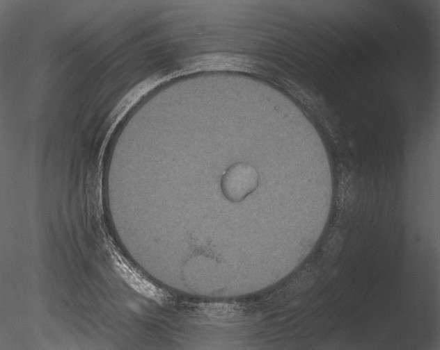 X0000085250836200703161250