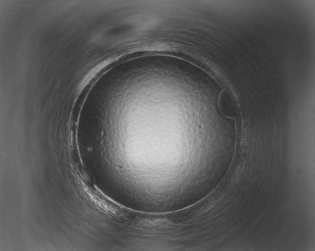 X0000085250837200703161250