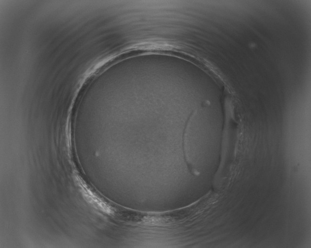 X0000085250840200703161250