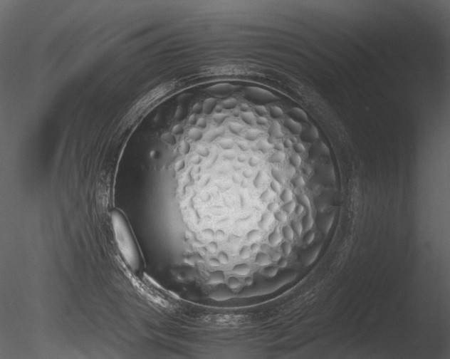 X0000085250841200703161250