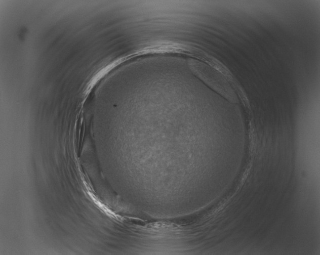 X0000085250842200703161250