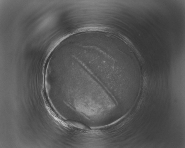 X0000085250844200703161250