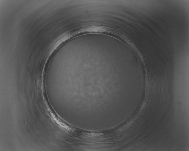 X0000085250845200703161250