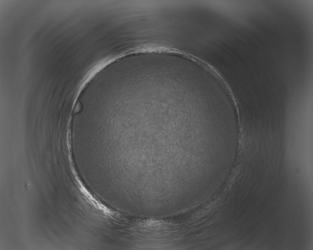 X0000085250847200703161250