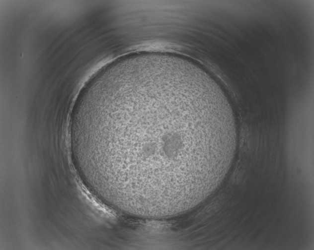 X0000085250848200703161250