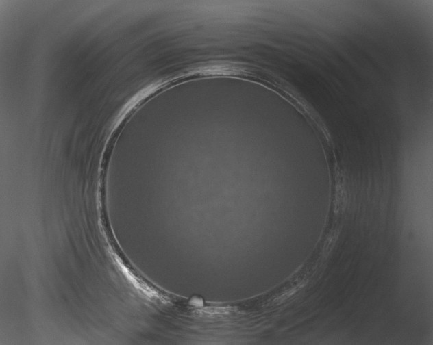 X0000085250853200703161250