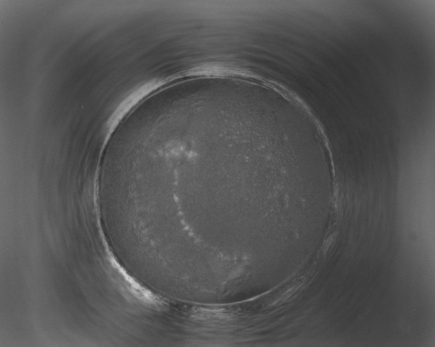 X0000085250855200703161250