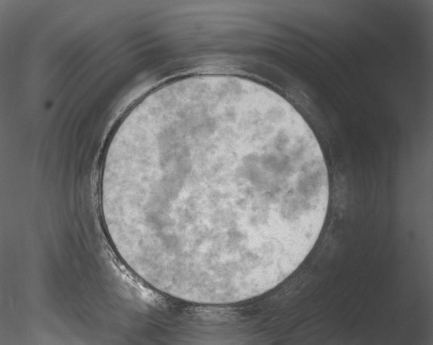 X0000085250856200703161250