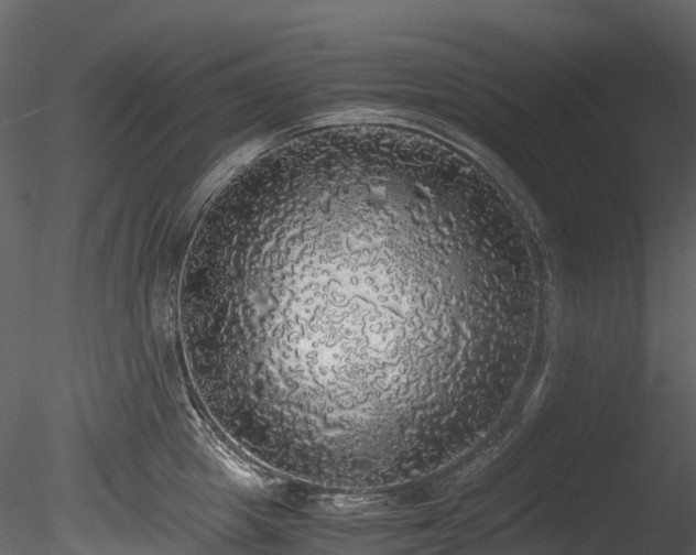 X0000085250857200703161250