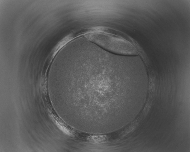 X0000085250858200703161250