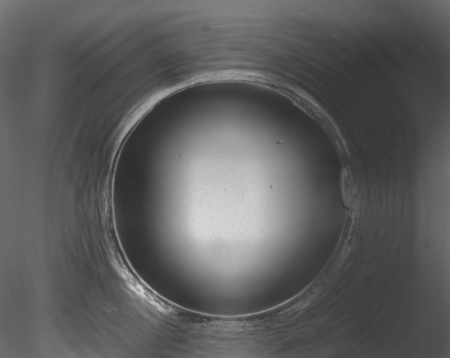 X0000085250860200703161250