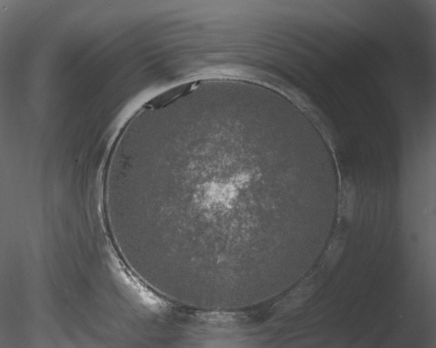 X0000085250862200703161250