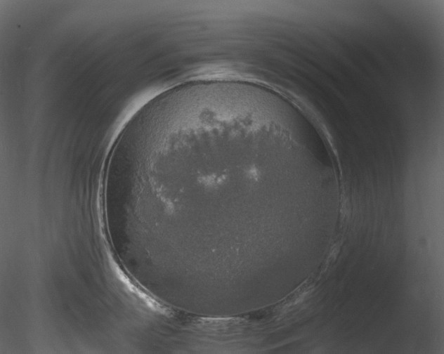 X0000085250863200703161250