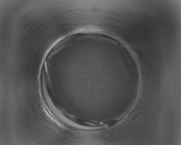 X0000085250864200703161250