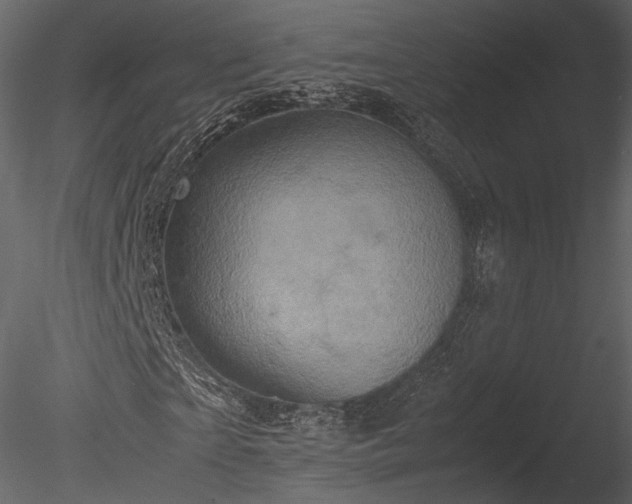 X0000085250865200703161250