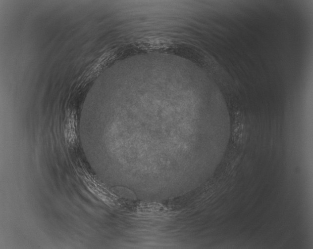 X0000085250866200703161250