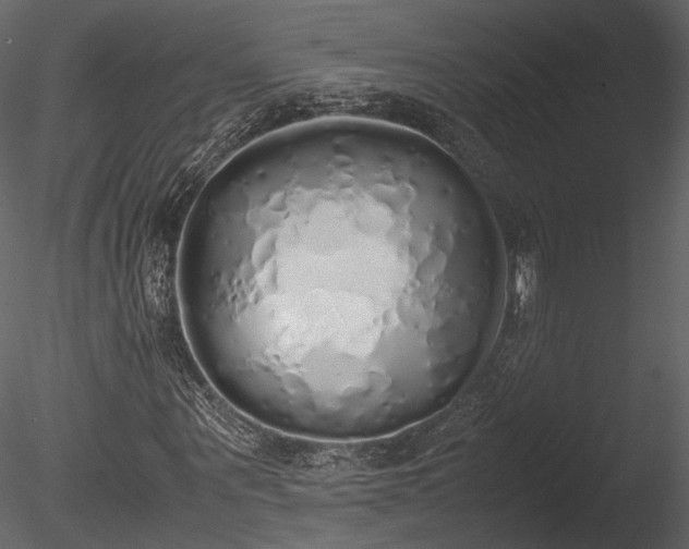 X0000085250867200703161249