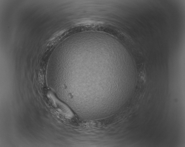 X0000085250869200703161249