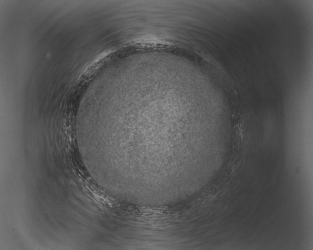 X0000085250870200703161249