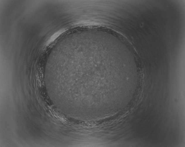 X0000085250871200703161249