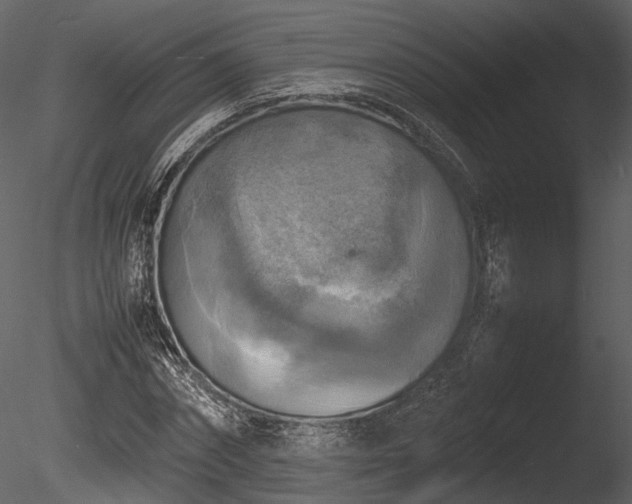 X0000085250874200703161249